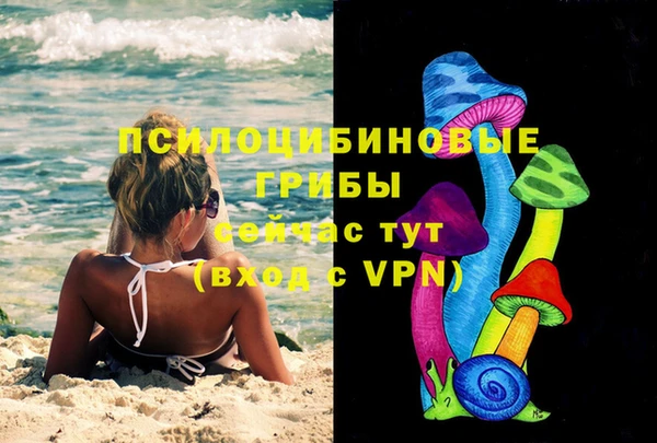 стаф Алексеевка