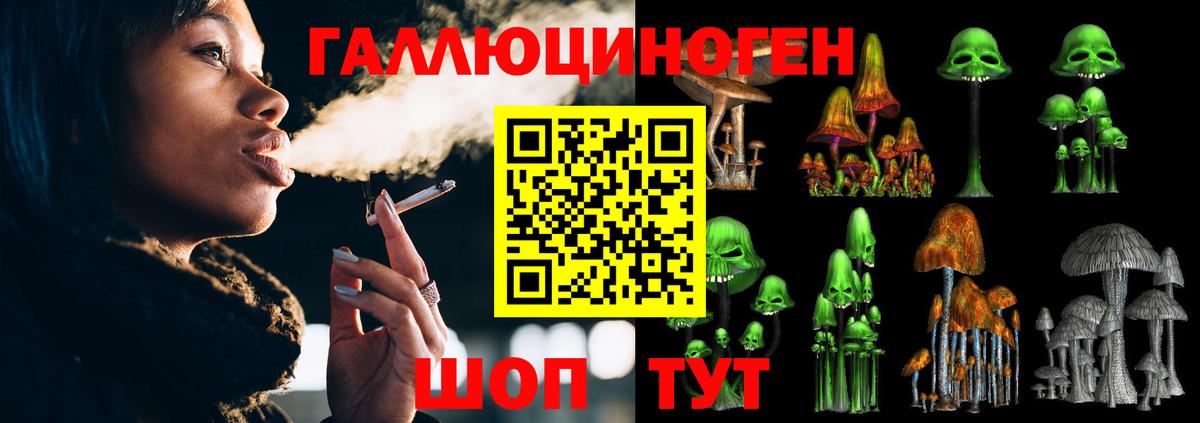 Псилоцибиновые грибы Psilocybine cubensis  Псилоцибиновые грибы ЛСД  Вход с VPN  Елабуга 